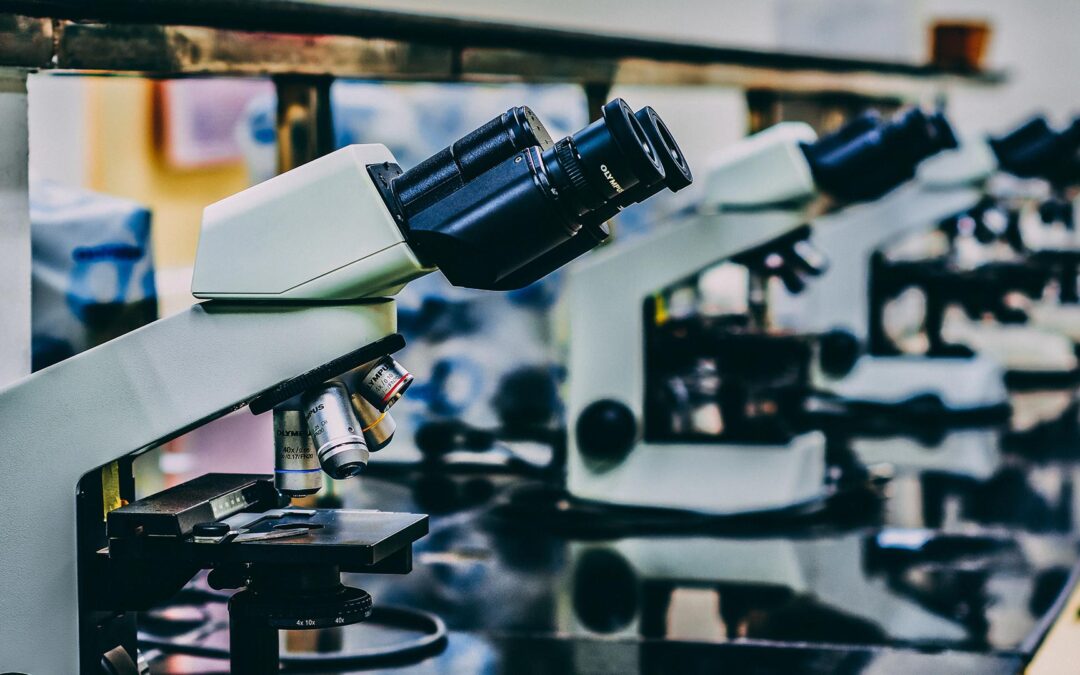 Articolo sul Registro Spina Bifida